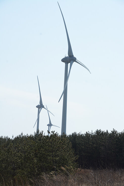 30例のバードストライクが確認された新能代風力発電所（能代市浅内で）